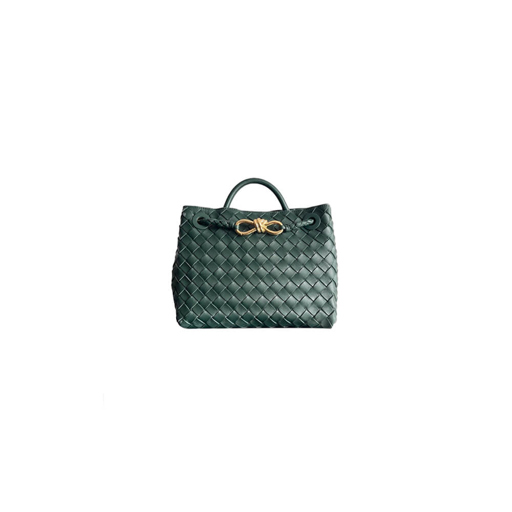 Bottega Veneta Small Andiamo