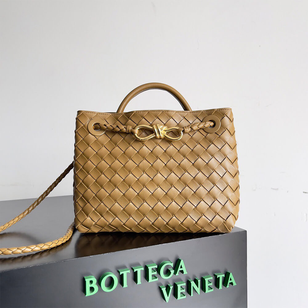 Bottega Veneta Small Andiamo