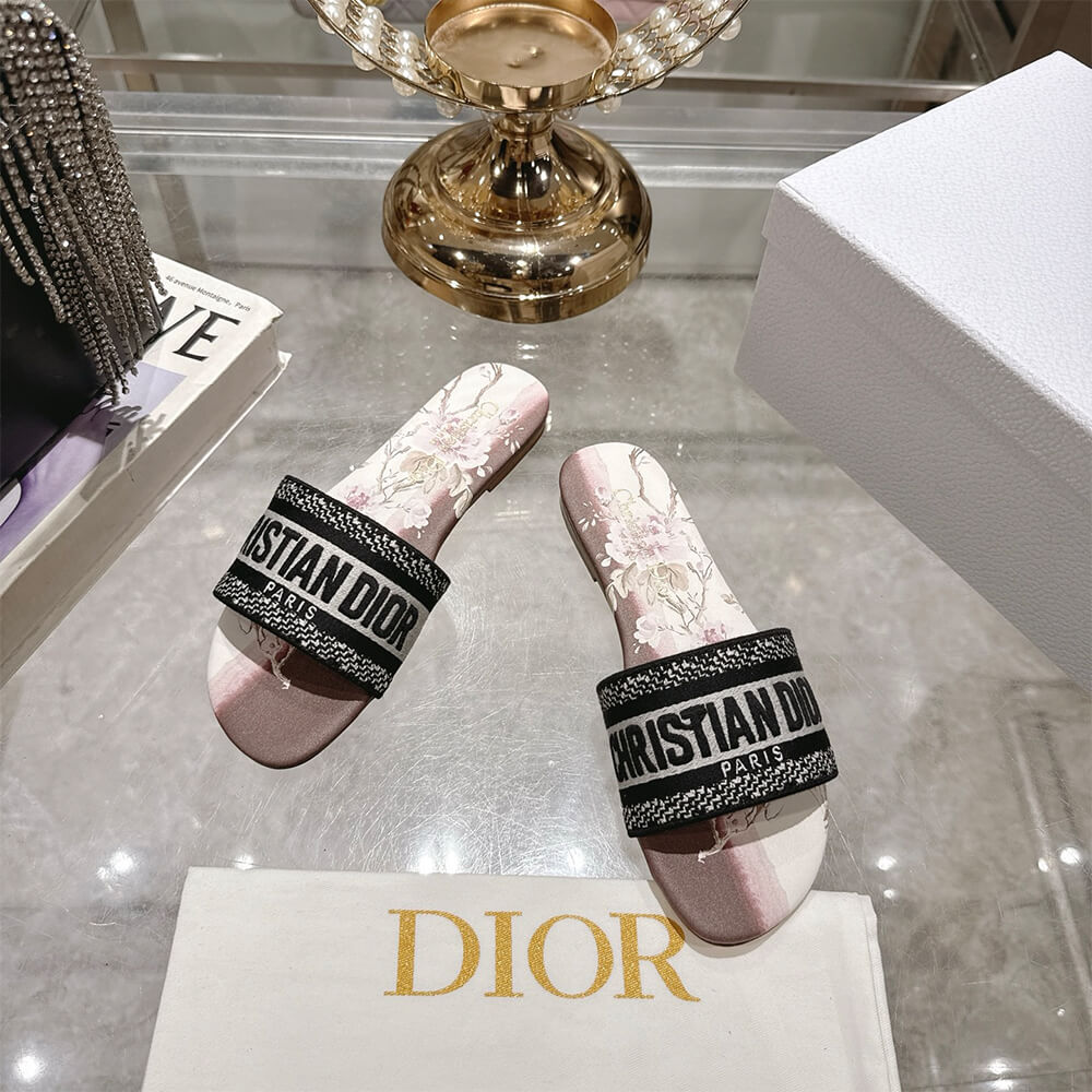 DIOR Dway Slide