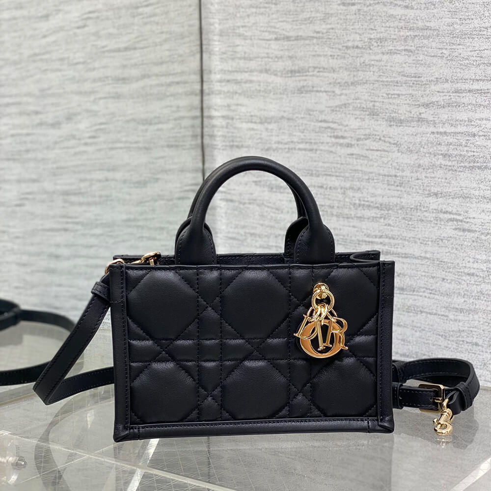 Mini Dior Book Tote
