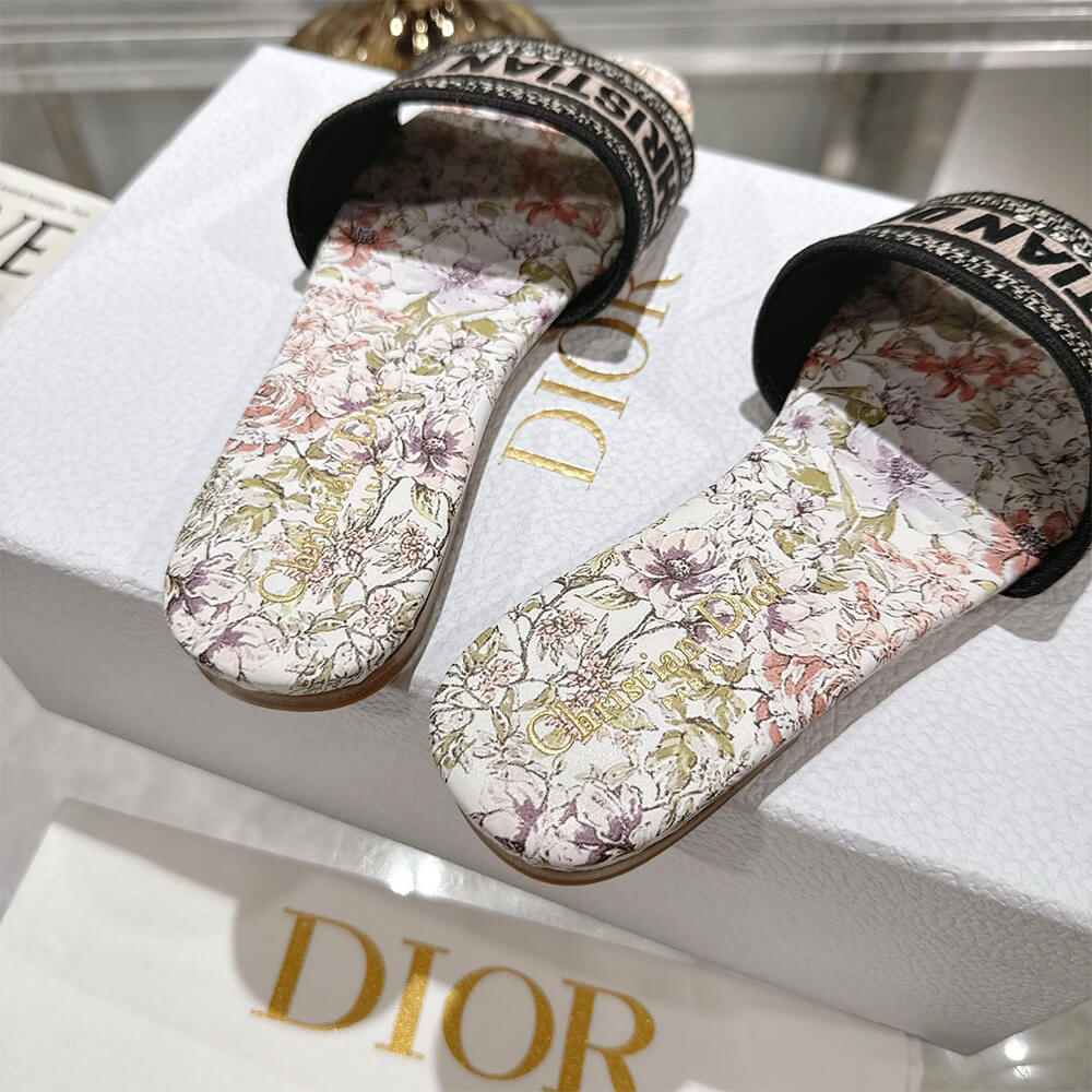 DIOR Dway Slide