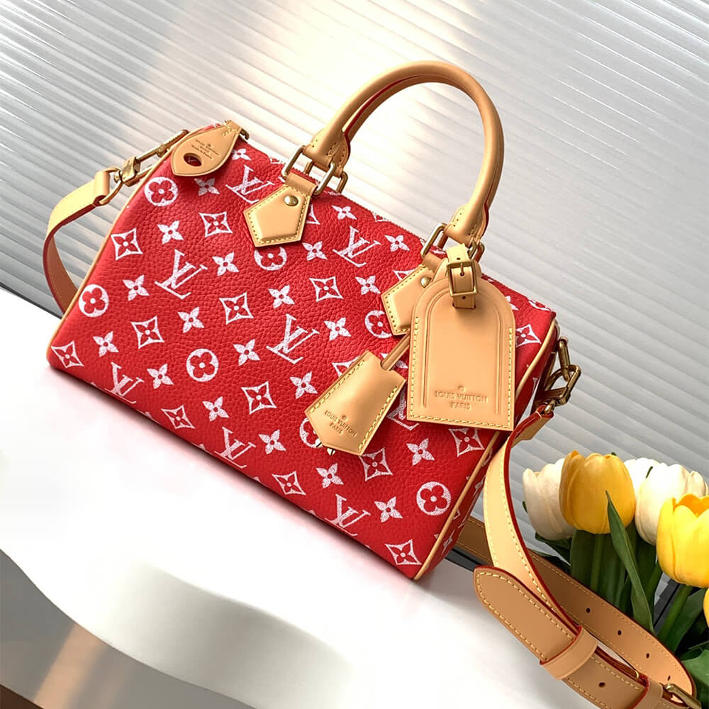 LV Speedy P9 Bandouliere 25