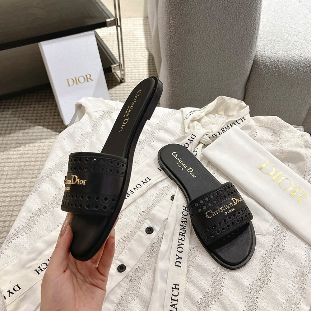 DIOR D-Lane Slide