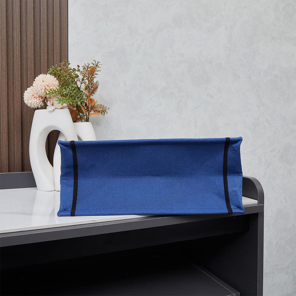 Dior Souvenir Medium Dior Book Tote